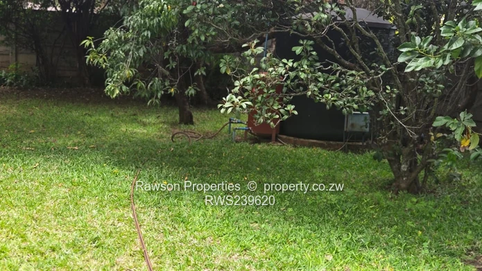 New Mandate - Vainona Gem