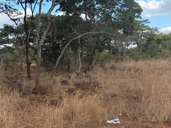 Farm & Agricultural Land