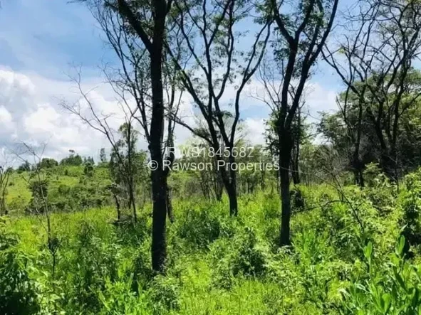 Farm & Agricultural Land