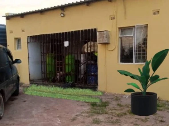 Newly Built Shop