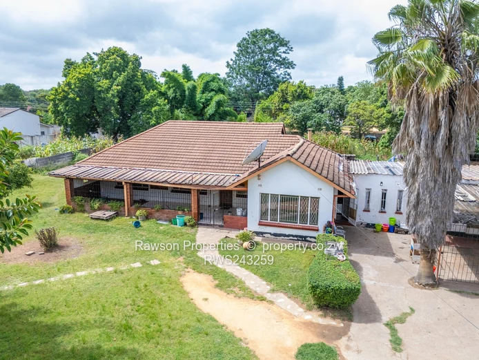 Golden Oldie in Hatfield