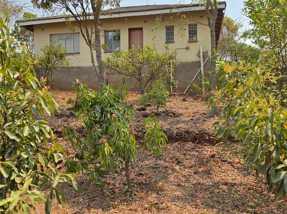 Farm & Agricultural Land