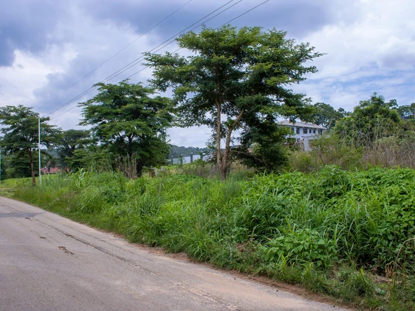 Stands & Residential Land