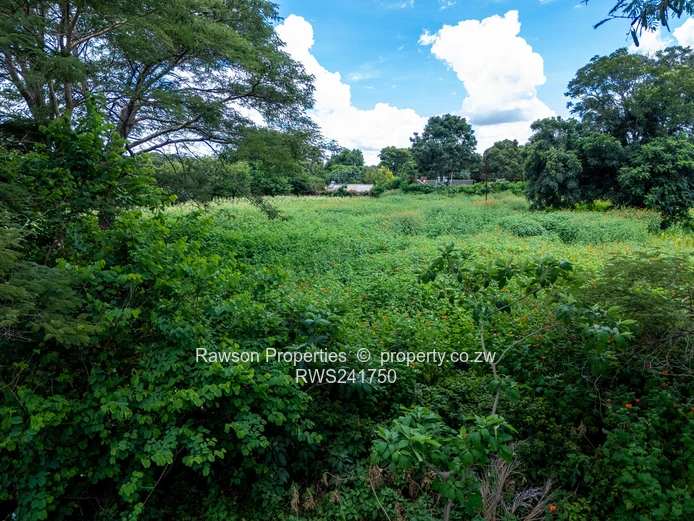 Don't miss out this gem!