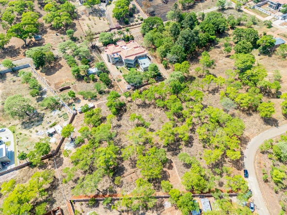Stands & Residential Land