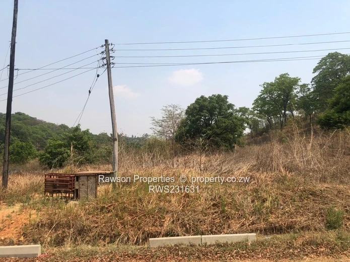 Build Your Dream Home