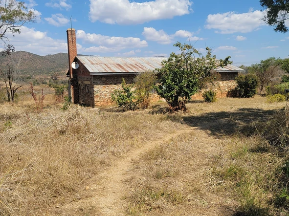 Farm & Agricultural Land