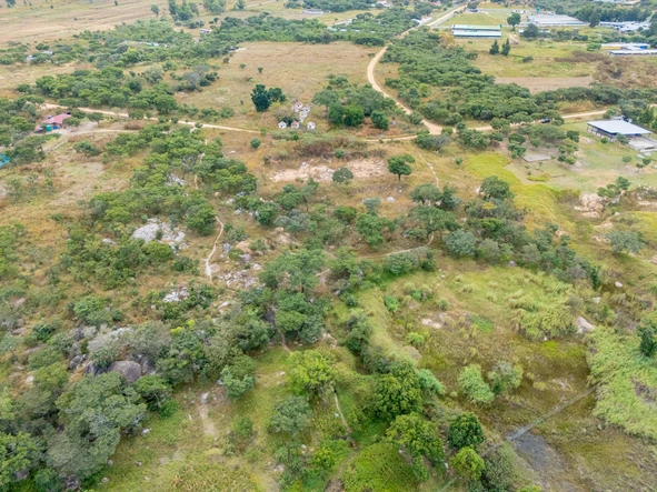 Farm & Agricultural Land