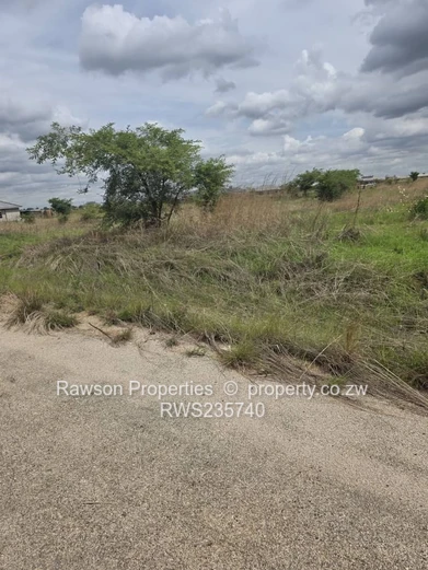 Investment opportunity!