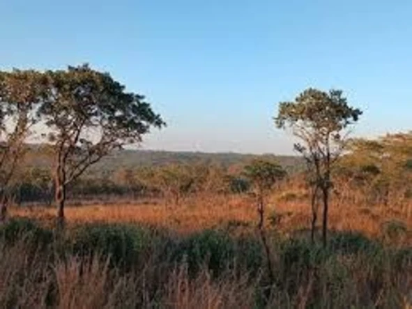 Farm & Agricultural Land